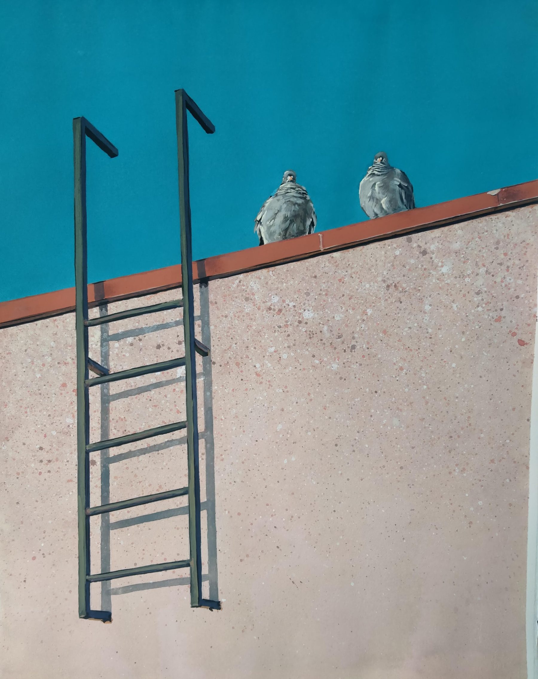 Hoog en Droog